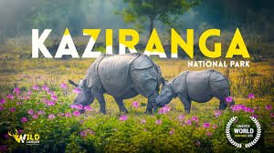  Guwahati To Kaziranga Tour Package