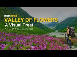   majestic Valley of Flowers tour package 